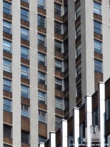 daily-news-building_nathaniel-lindsey5