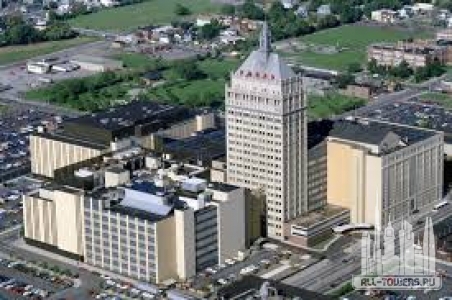 Без названия