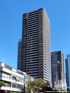 taino-towers-apartments-ii_nathaniel-lindsey5