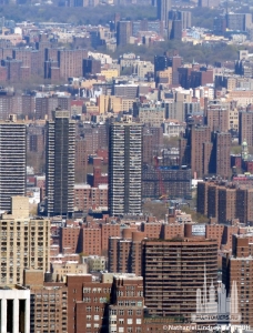 taino-towers-apartments-iv_nathaniel-lindsey1