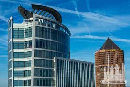 Без названия