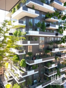 20140417IsolaBoscoVerticale