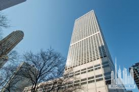 Без названия