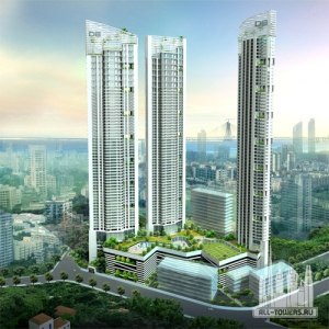 orchid_crown(c)db__realty (1)