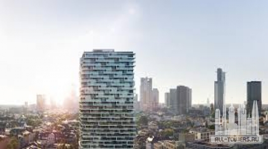 Без названия (1)