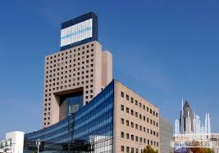 Без названия