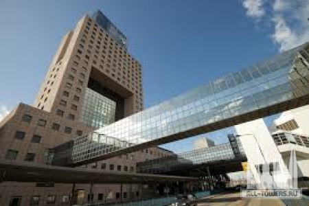 Без названия (1)