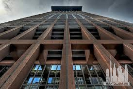 Без названия (2)