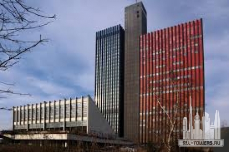 Без названия (1)