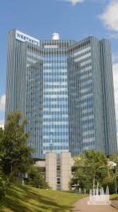 Без названия