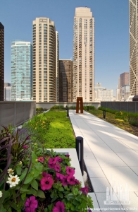 600nlakeshore_ext-greenroof2_(c)pappageorgehaymes