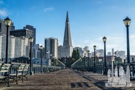 Без названия (1)