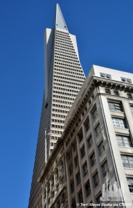 transamerica-pyramid_terri-meyer-boake1