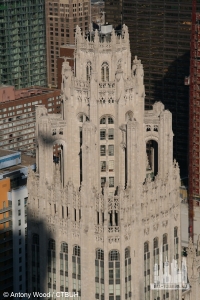 tribune_topcloseup_aw