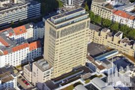 Без названия