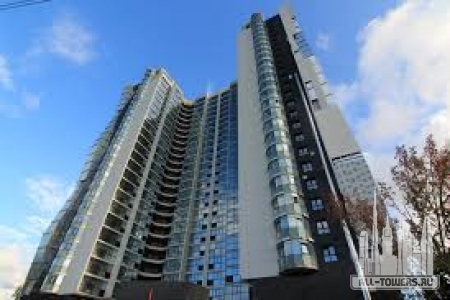 Без названия