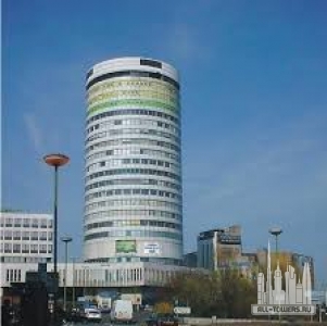 Без названия (1)