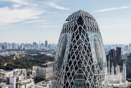 japan_tokyo_sindzjuku17