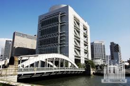 Без названия