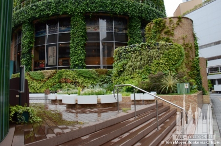 osaka-maru-building_terri-meyer-boake7