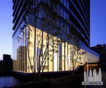 Без названия (1)