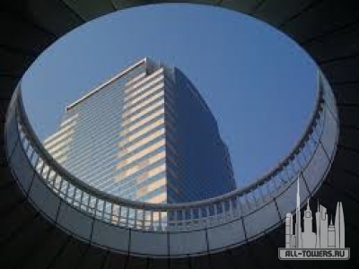 Без названия