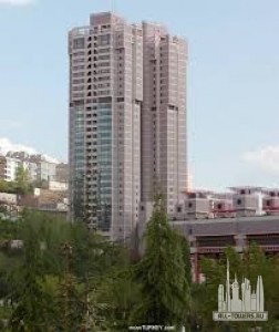 Без названия