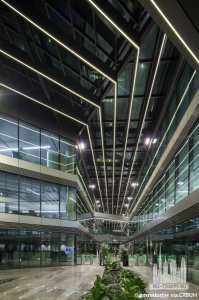 zorlu-levent_emredorter6