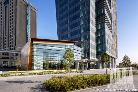 allianz-tower_esto-photographics-inc51