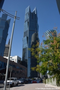 palm-tower-2_terri-meyer-boake4