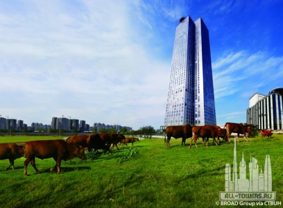 j57_ext_lookingup_(c)broad__group