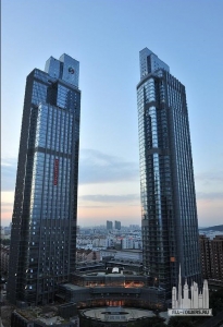 20090717_dfbe6a1b05df38136c404dWYC2