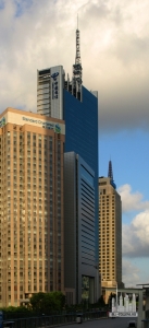 pudonginfo_overall_mg