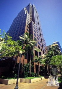 244c535282712945c65eeb7ed09146a536de312e