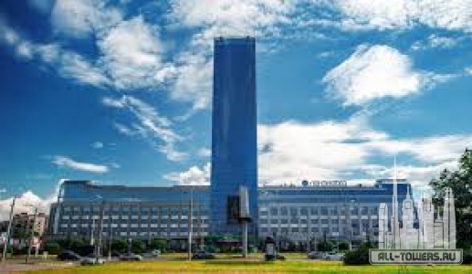 Без названия (1)