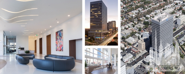 case-study_0002_6300