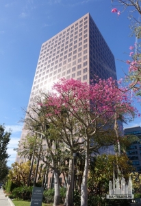 6500-wilshire-boulevard_daniel-safarik1