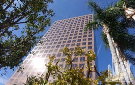 6500-wilshire-boulevard_daniel-safarik2
