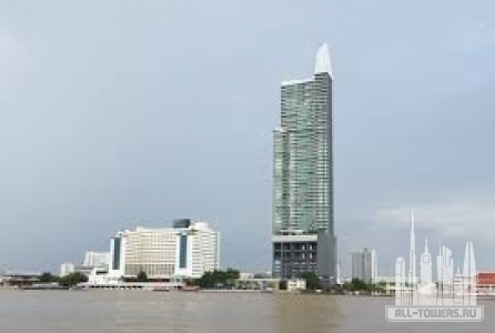 Без названия