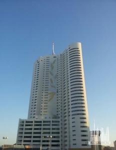 hochhaus-neue-donau_raoul-barbu1