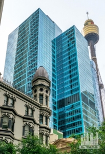 135-on-king_roberto-portolese4