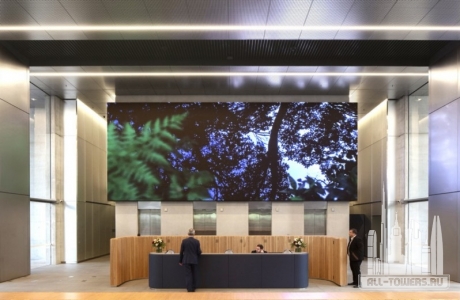 som-brett-boardman_7718