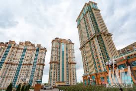 Без названия