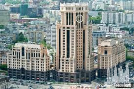 Без названия