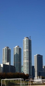 3113351784_bec1de8650_b (1)