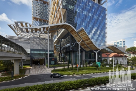 beach-road_aaron-pocock-photography8