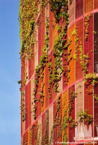 oasia-hotel-downtown_patrick-bingham-hall1