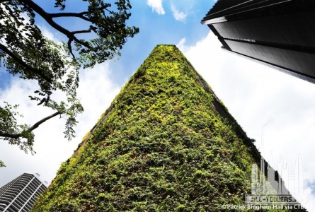 oasia-hotel-downtown_patrick-bingham-hall14