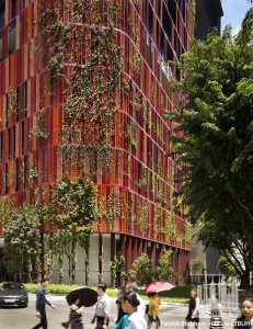 oasia-hotel-downtown_patrick-bingham-hall5