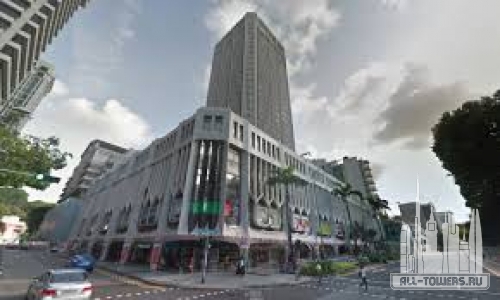 Без названия